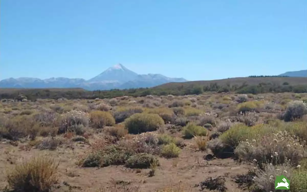 Terreno en Venta en Junin De Los Andes imagen 2